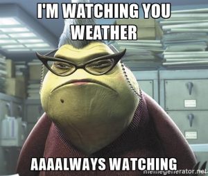 roz-from-monsters-im-watching-you-weather-aaaalways-watching-